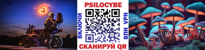 ссылка на мегу вход  Разумное  Псилоцибиновые грибы Cubensis  купить  сайты 