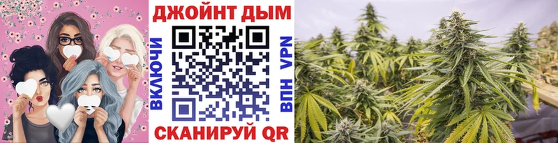 хочу наркоту  Разумное  Каннабис сатива 